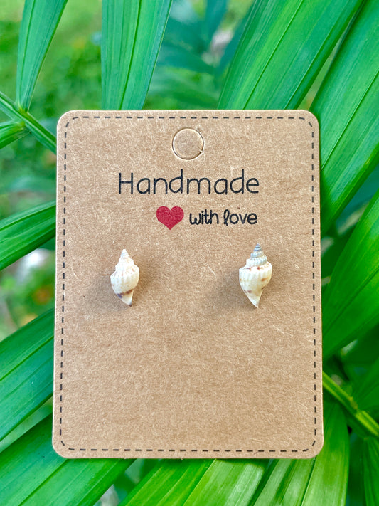 Clearance Shell Earrings