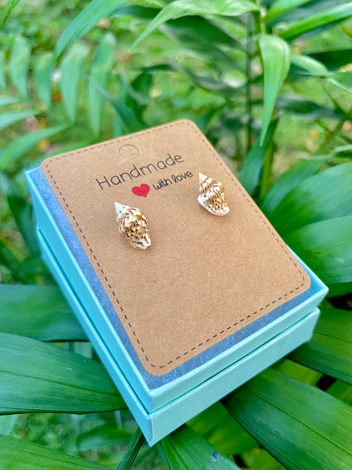 Fiji Shell Earrings